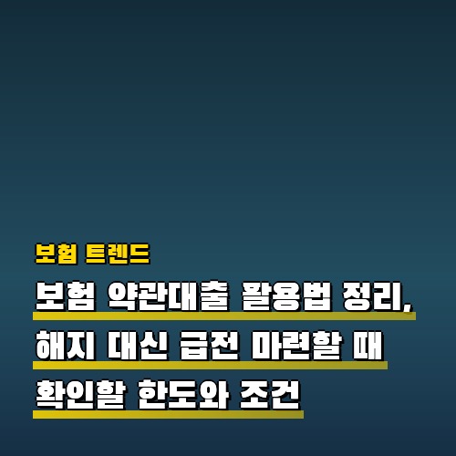 보험 약관대출 활용법 정리, 해지 대신 급전 마련할 때 확인할 한도와 조건